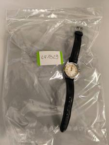 LF 1329 WATCH
